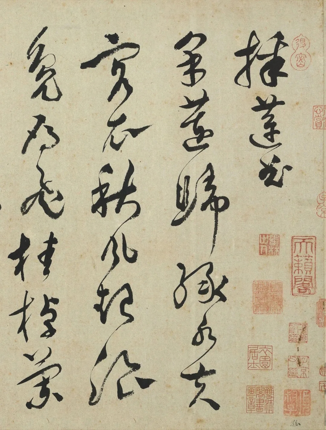 明代文彭草书《采莲曲》，笔锋转折果敢而泼辣(图1)