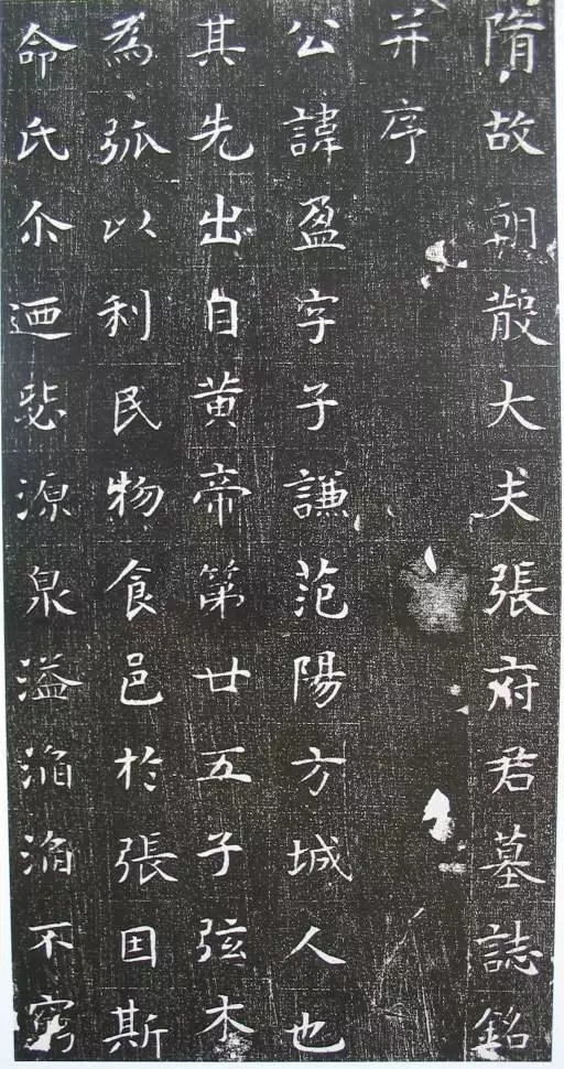 隋代楷书《张盈夫妇墓志》，平和而典雅(图1)