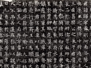 魏碑《元晔墓志》高清欣赏
