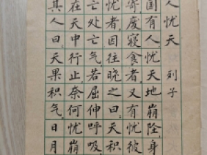 刘小晴小楷《少年儿童模范字帖》（部分）