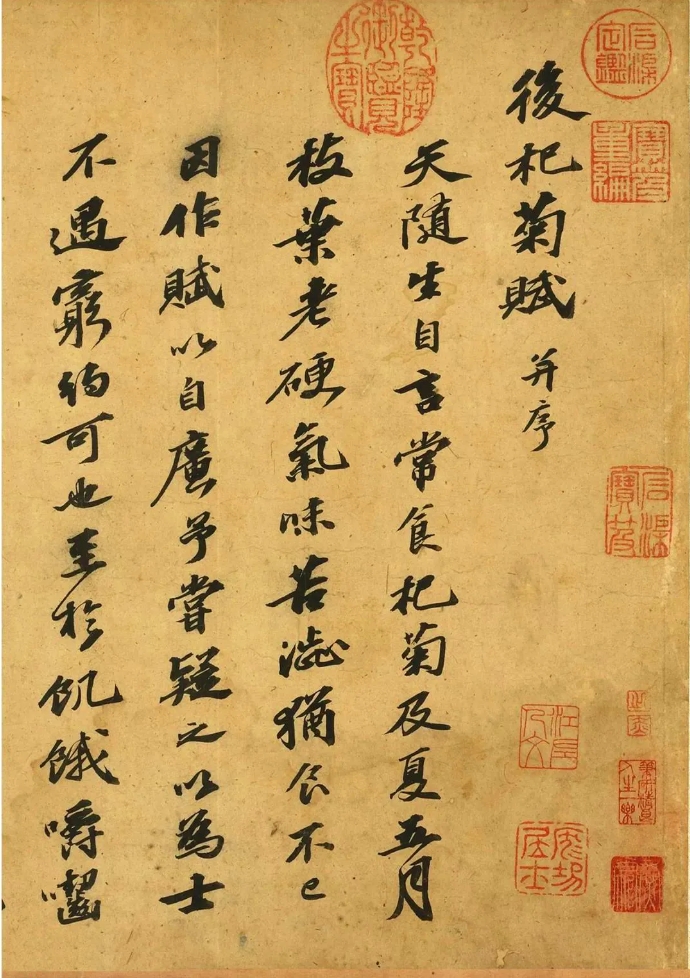 苏轼行书《后杞菊赋》，心胸豁达，超然物外(图1)