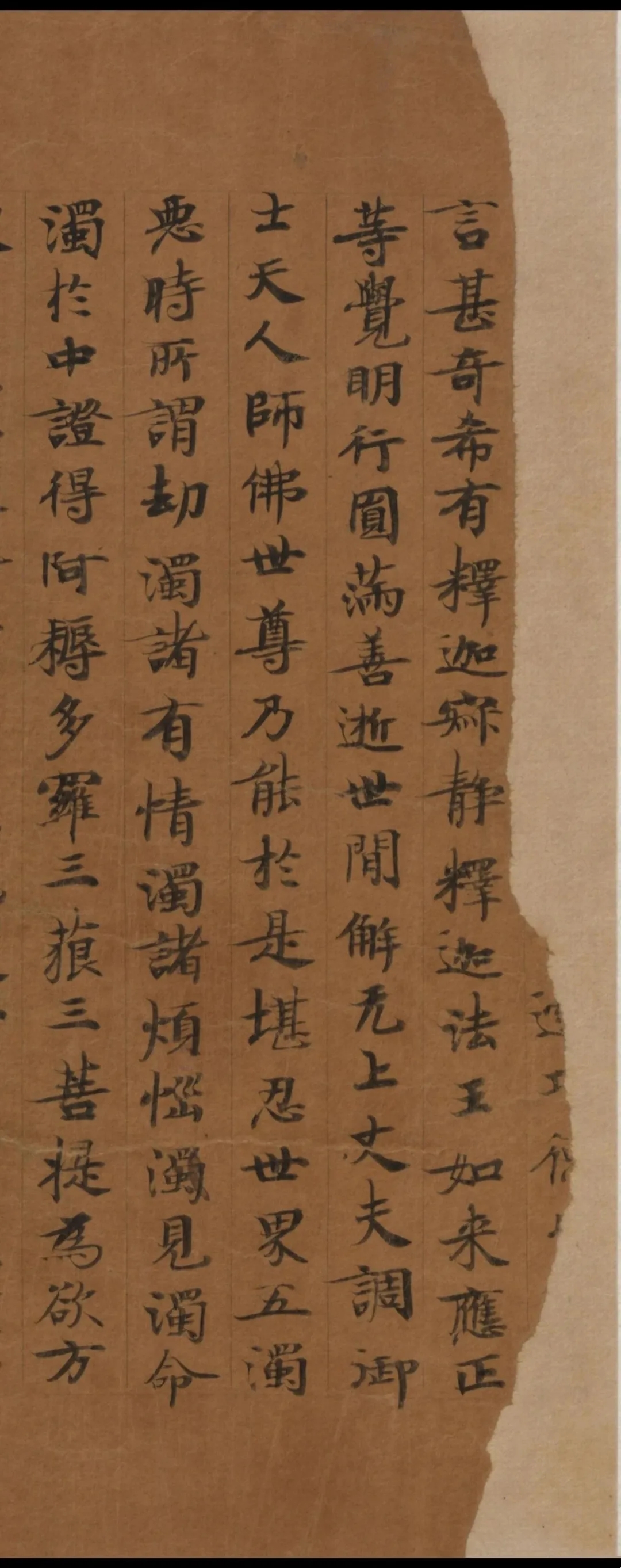 抄经生小楷《称赞净土佛摄受经》，真美！(图1)