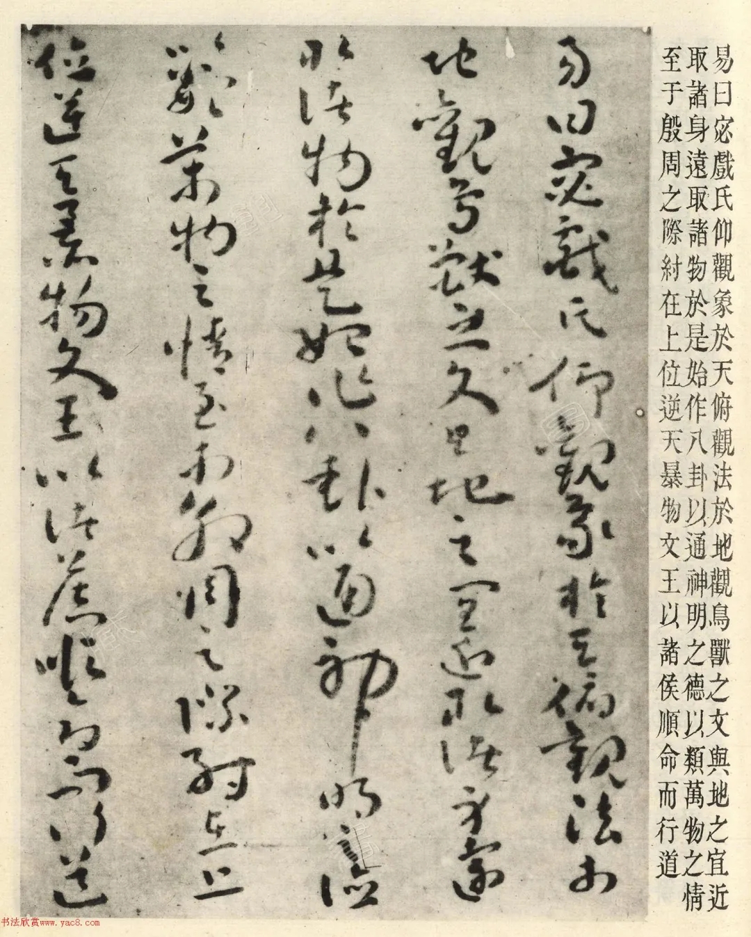汉代刘歆草书序六艺为九种墨迹（民国珂罗版影印）(图2)