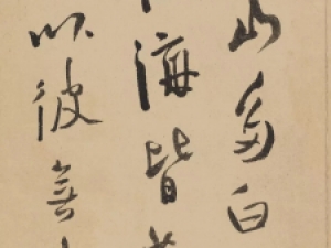 徐渭草书《雨中醉草诗册》高清欣赏