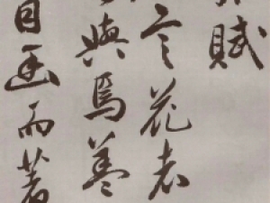 祝允明行书《牡丹赋》：秀润典雅,温婉洒脱
